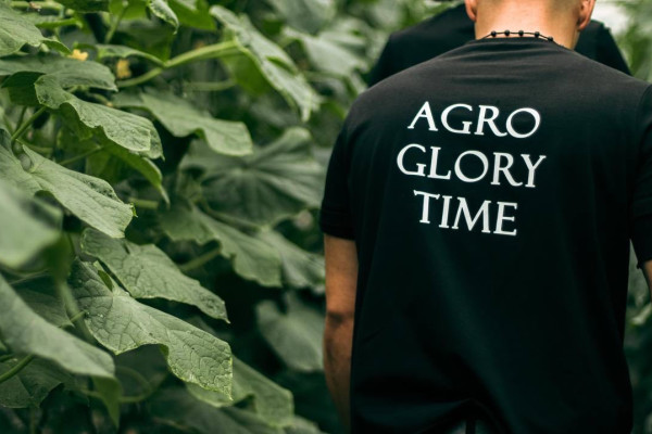 AgroGloryTime - инвестиции в агробизнес Украины по технологии blockchain